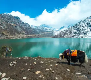 India